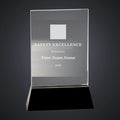 Abbott Electric Safety Excellence Crystal Award (sample mockup)