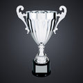 14 1/2" Silver Completed Metal Cup Trophy on Plastic Base engraved award by Buckeye Branding Company, Copley OH