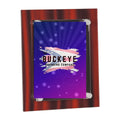8 x 10 in. red velvet stand-off acrylic plaque, UV printed with a full-color sample logo