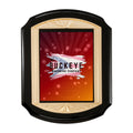11 x 15 in. black high gloss plaque with a gold sunburst frame casting and black plate, UV printed with a full-color sample logo