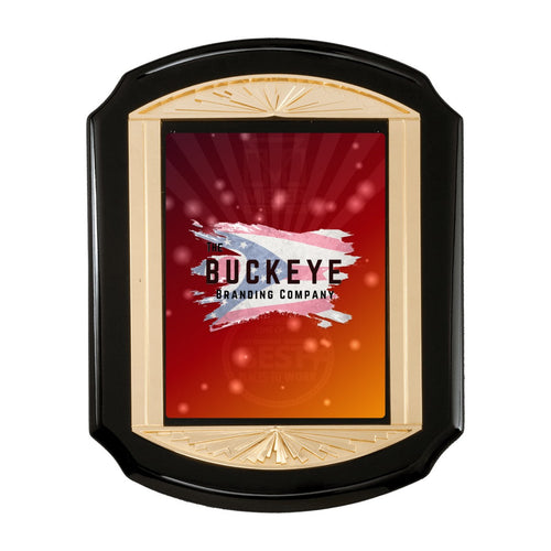 11 x 15 in. black high gloss plaque with a gold sunburst frame casting and black plate, UV printed with a full-color sample logo