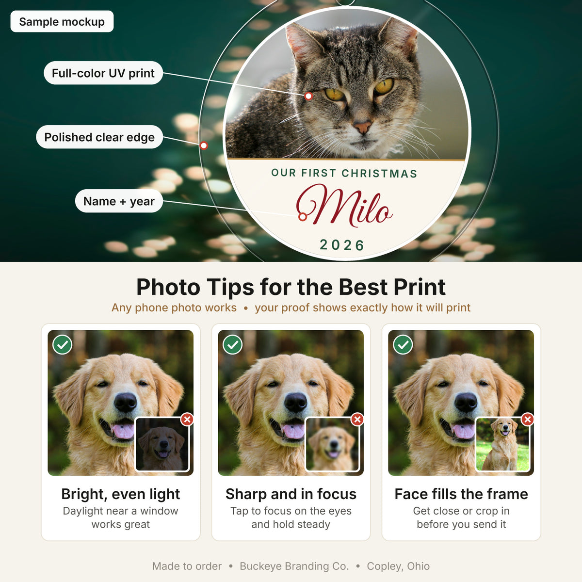 Photo ornament details and photo tips (sample mockup)