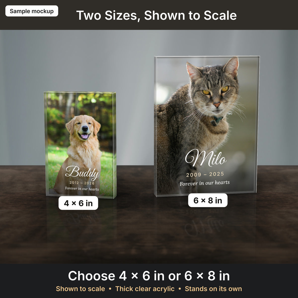 4 x 6 and 6 x 8 photo blocks shown to scale (sample mockup)