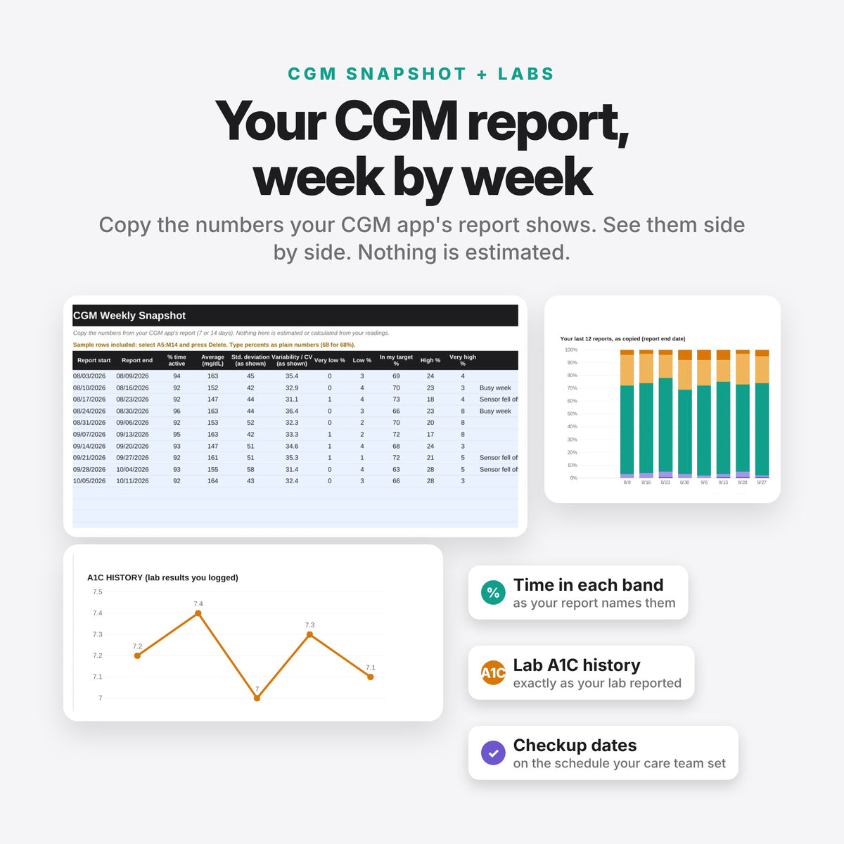 Blood Sugar Tracker (Digital Download) — photo 5