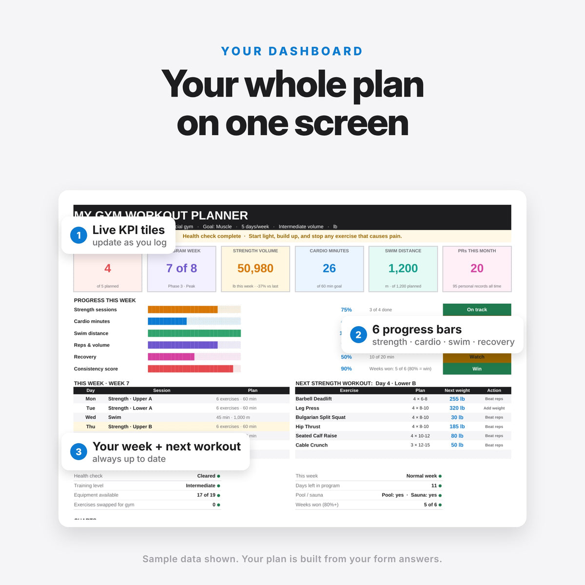 Custom Gym Plan, Made for You (Digital Download) — photo 3