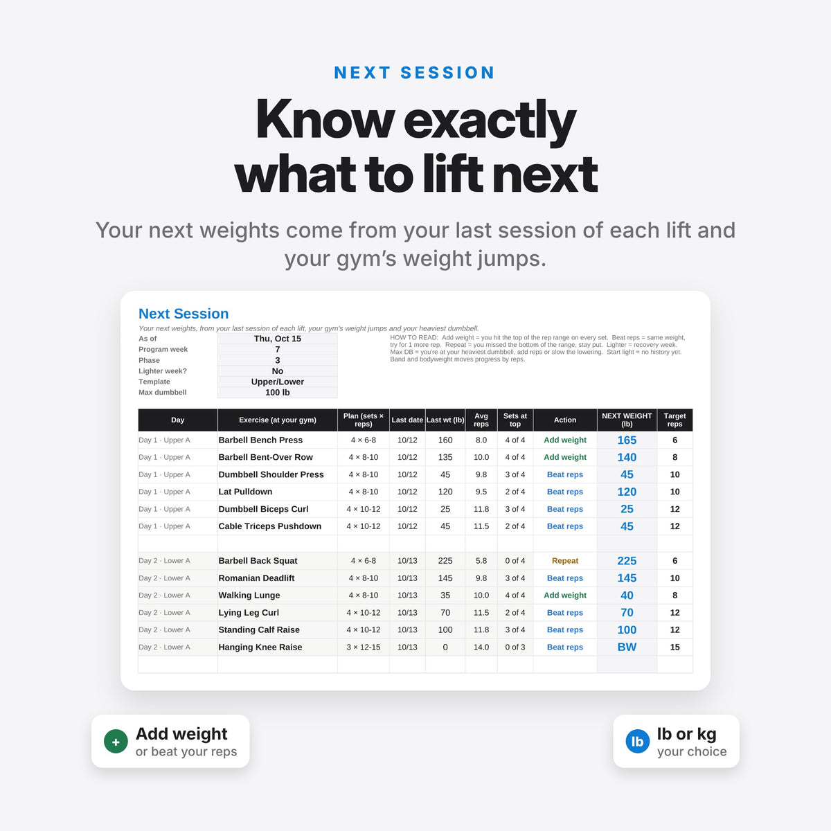 Custom Gym Plan, Made for You (Digital Download) — photo 6