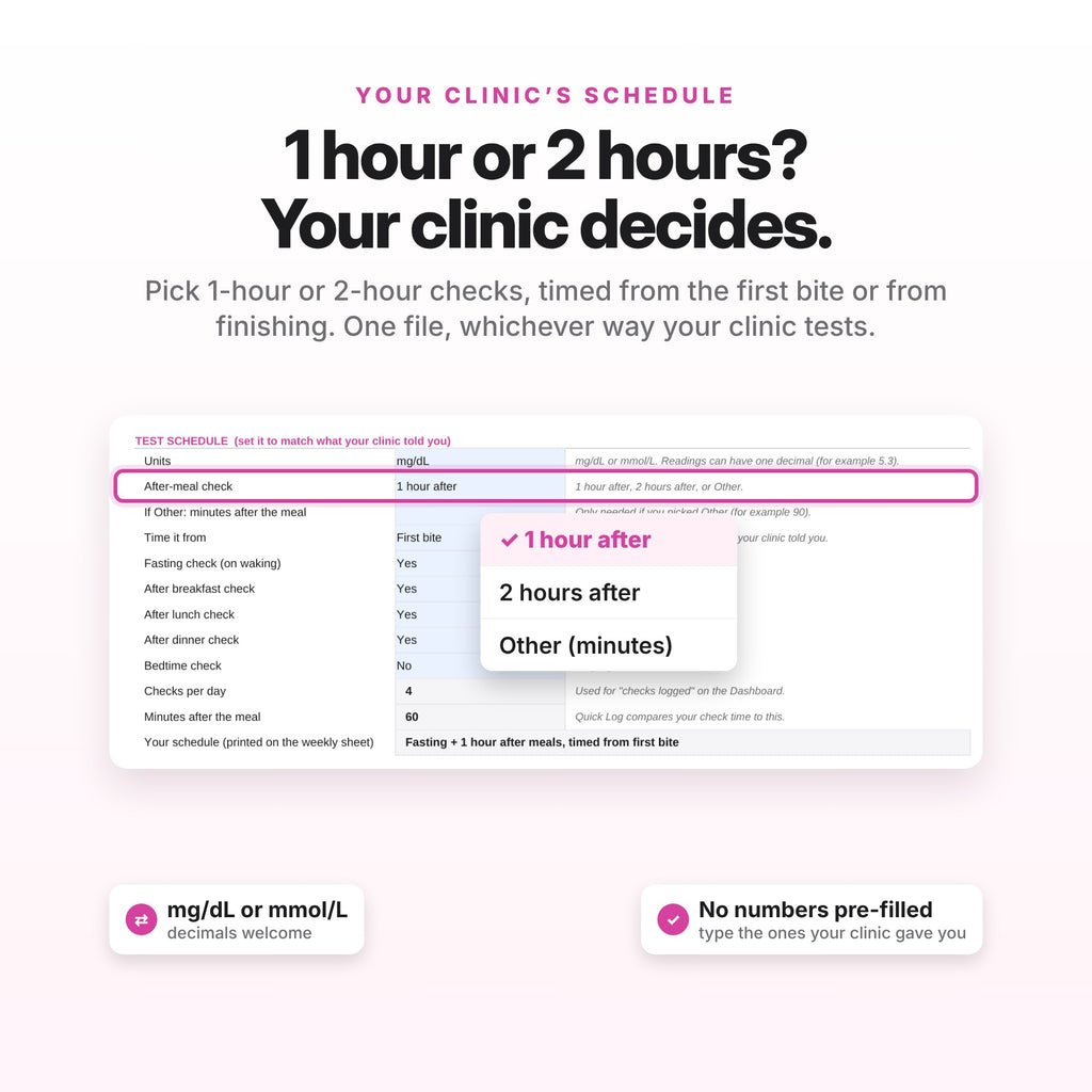 Gestational Diabetes Log (Digital Download) — photo 4