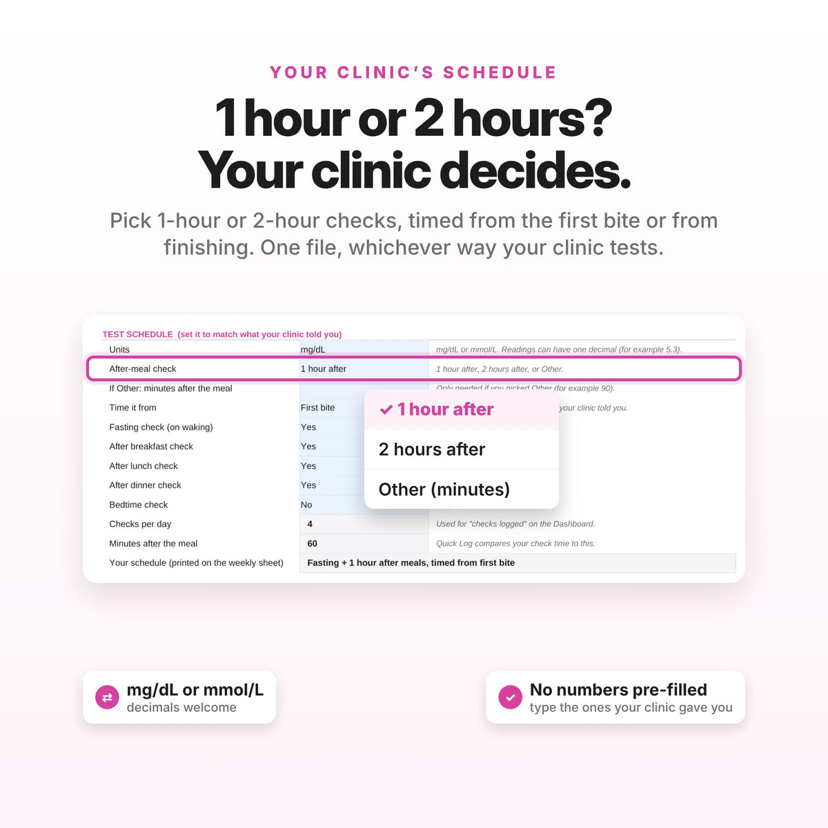 Gestational Diabetes Log (Digital Download) — photo 4