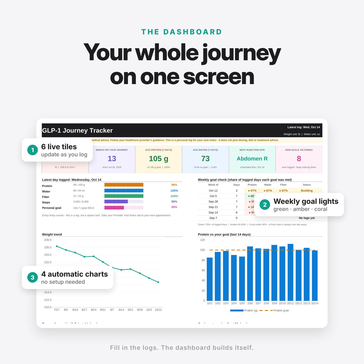 GLP-1 Journey Tracker (Digital Download) — photo 4