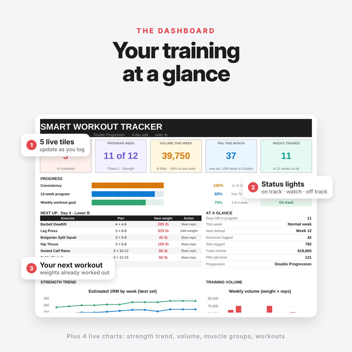 Smart Workout Tracker & 12-Week Strength Program (Digital Download) — photo 4